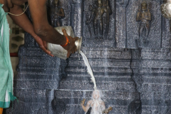 334th-sri-sri-yogeendra-theertharu-aradhana_51873765667_o