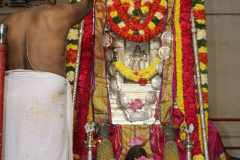 334th-sri-sri-yogeendra-theetharu-aradhana_51875420252_o