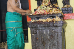 350th-madhya-aradhana-photos-2021_51400145433_o