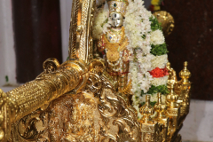 350th-madhya-aradhana-photos-2021_51400145853_o