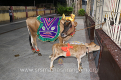 350th-aradhana-dhanya-pooja_51398312979_o