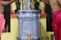 pattabisheka-2022_51916945176_o