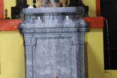 pattabisheka-2022_51917566745_o