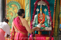 pattabisheka-2022_51917714086_o