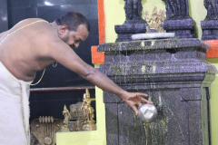 poorva-aradhana-photos_51397596886_o