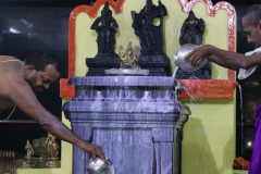 poorva-aradhana-photos_51397853908_o