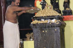 uttra-aradhana-photos-2021_51402070878_o