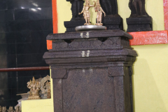 uttra-aradhana-photos-2021_51402070948_o