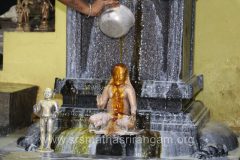 vardanthi-mahostava-2022_51927315877_o-scaled