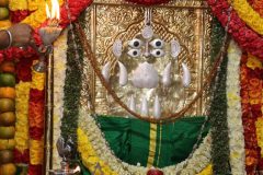 vardanthi-mahostava-2022_51928292281_o-scaled