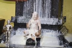 vardanthi-mahostava-2022_51928378078_o-scaled