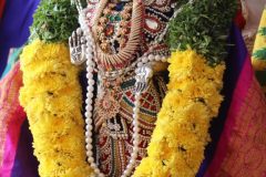 vardanthi-mahostava-2022_51928632514_o-scaled