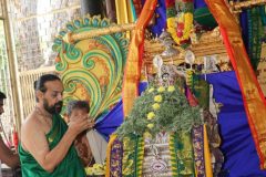 vardanthi-mahostava-2022_51928632679_o-scaled