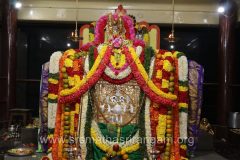 vardanthi-mahostava-2022_51928632869_o-scaled