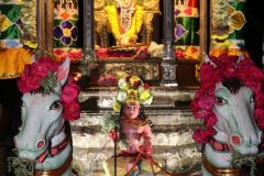 vardanthi-mahostava-2022_51928922415_o-scaled