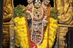 vardanthi-mahostava-2022_51928922455_o-scaled