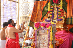 varadanthi-2021_51057496478_o